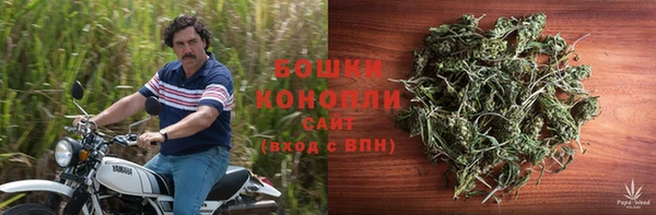 стафф Магас