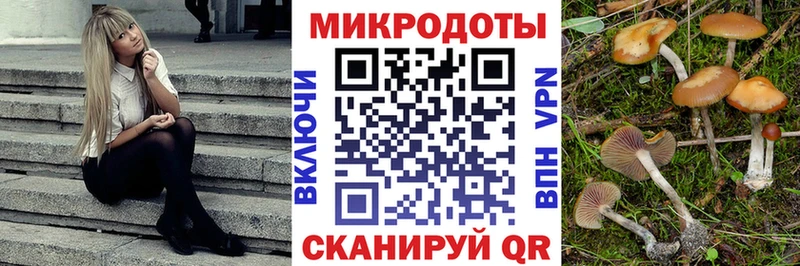 Псилоцибиновые грибы GOLDEN TEACHER darknet как зайти Орск blacksprut зеркало